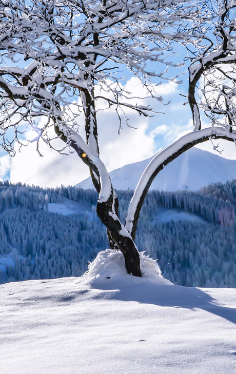 Winterzauber